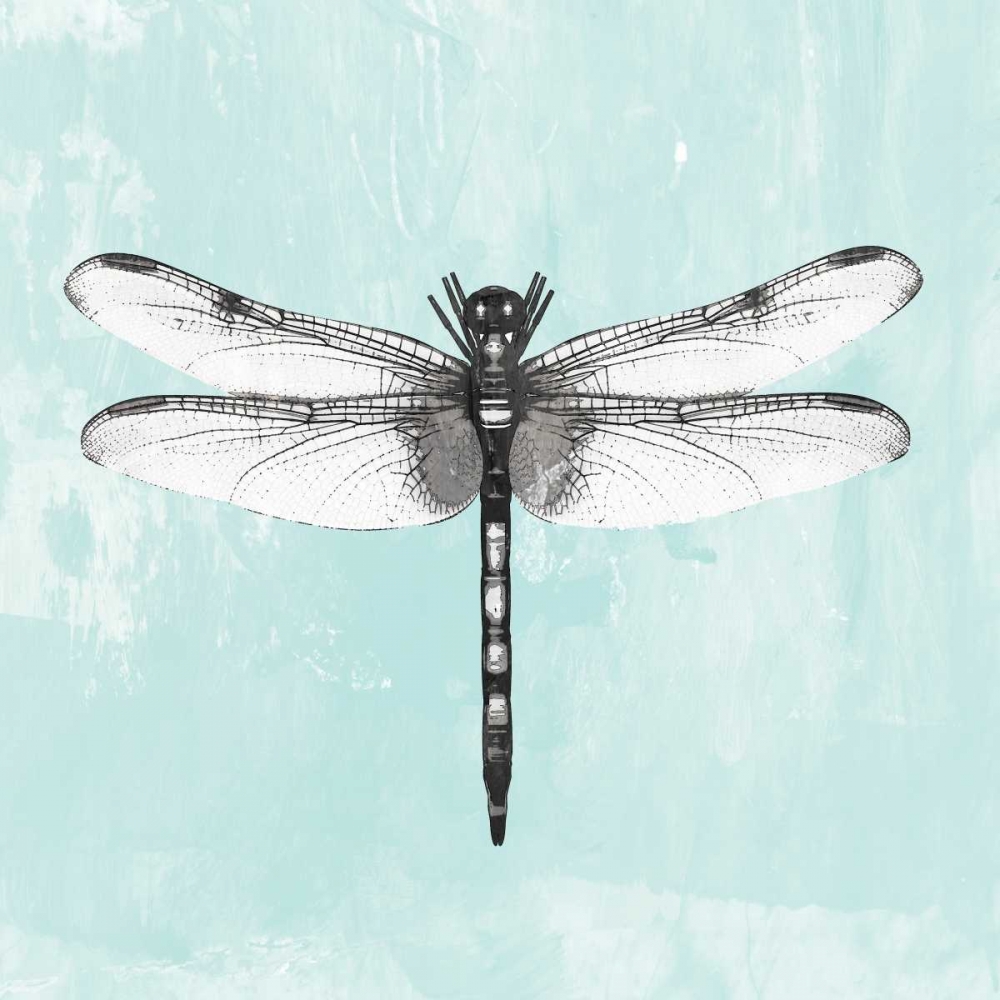Dragonfly I art print by PI Galerie for $57.95 CAD