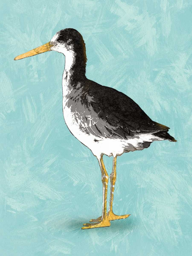 Seashore Bird III art print by PI Galerie for $57.95 CAD