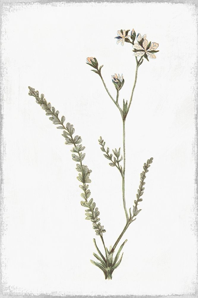 Little Flower I art print by Pi Studio for $57.95 CAD