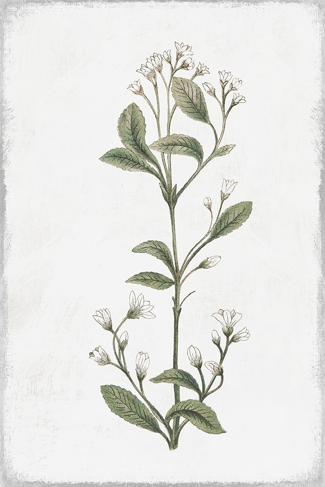 Little Flower II art print by Pi Studio for $57.95 CAD