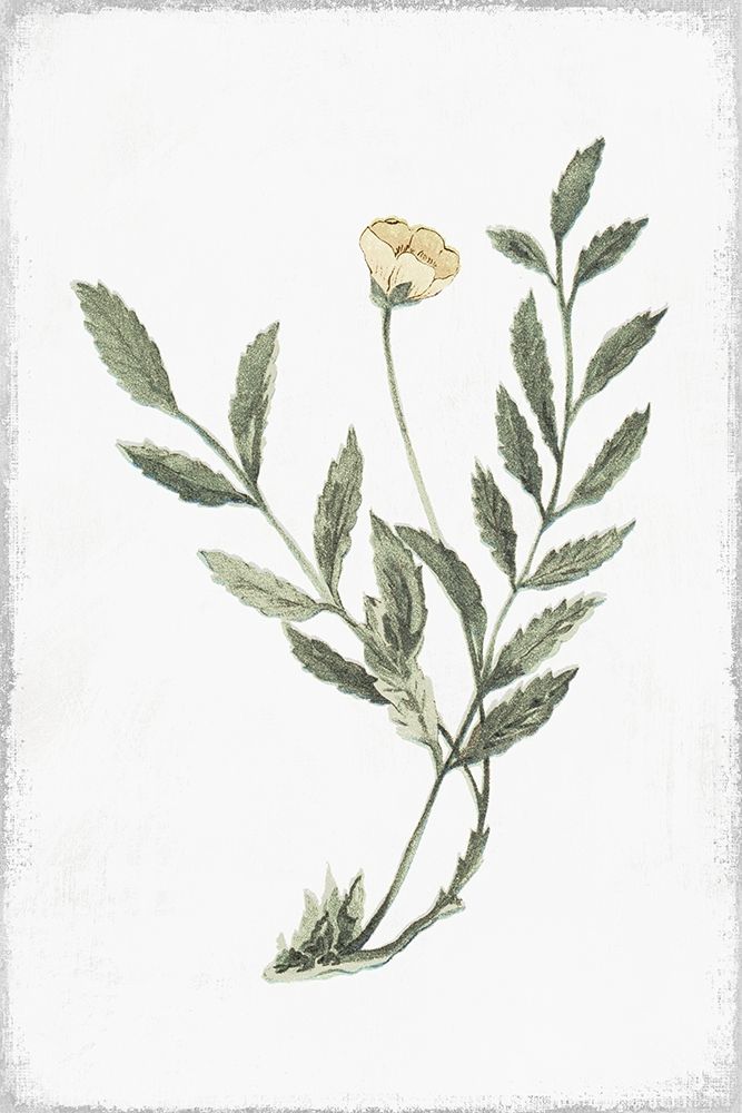 Little Flower III art print by Pi Studio for $57.95 CAD