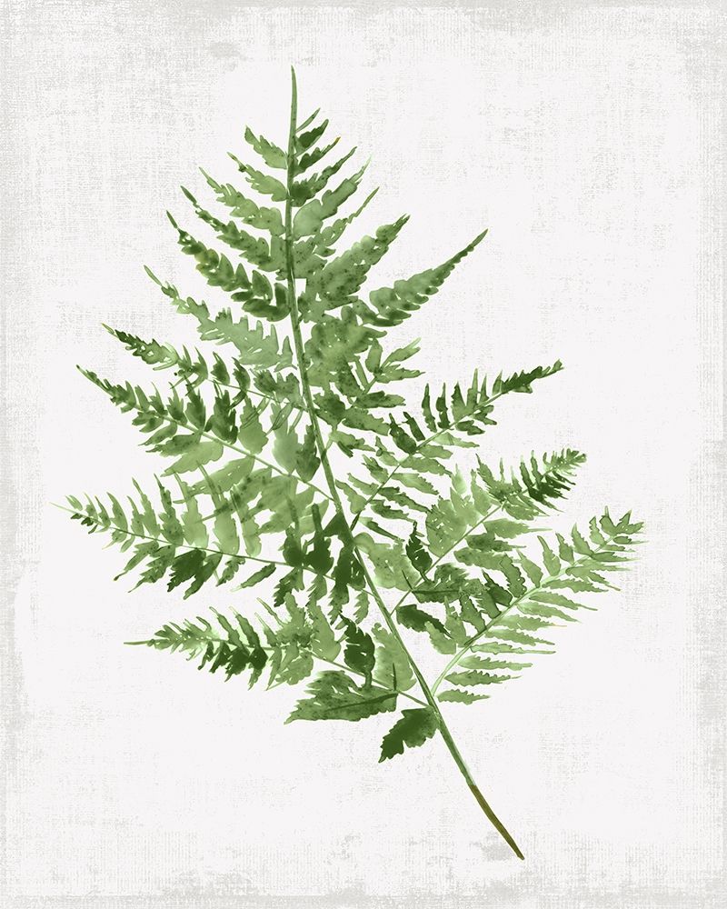 Fern Pressing II art print by PI Studio for $57.95 CAD