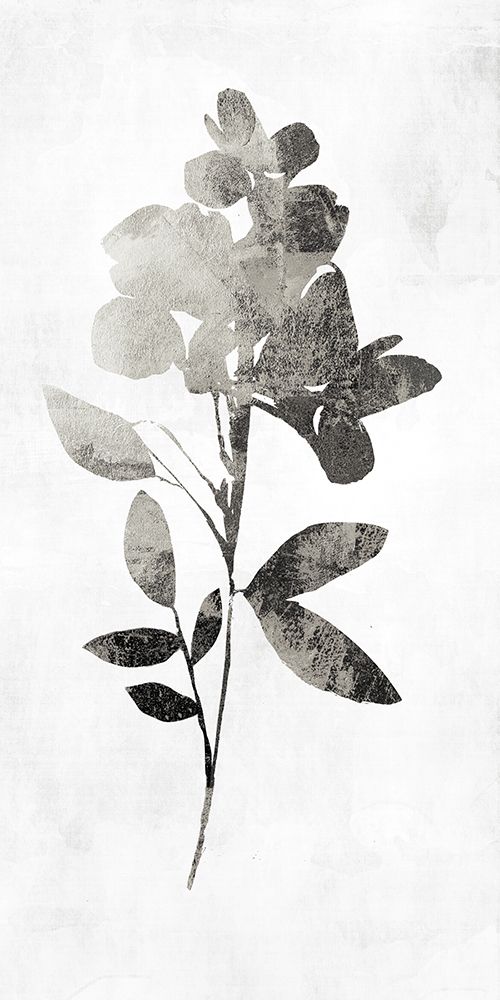 PI Studio art print by A Shadow Of A Flower I for $57.95 CAD
