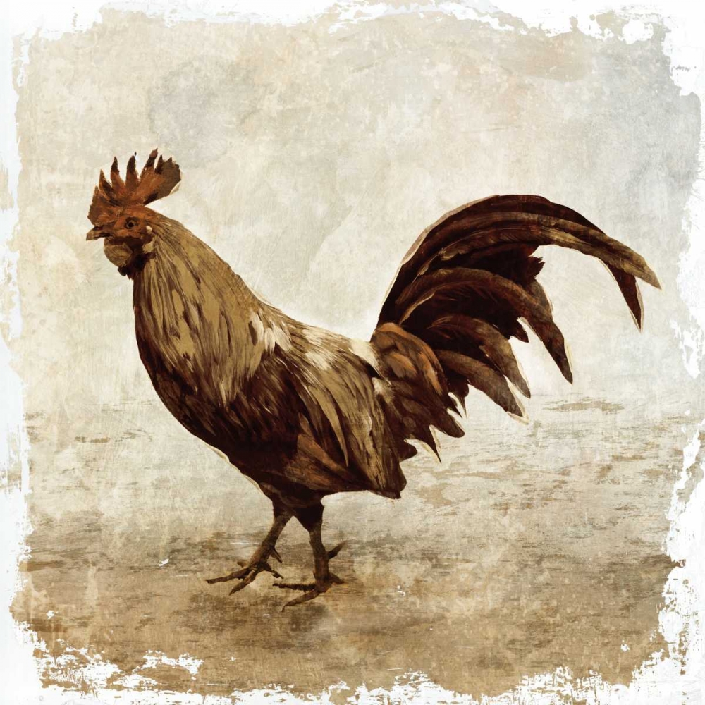 Rooster white border art print by PI Studio for $57.95 CAD