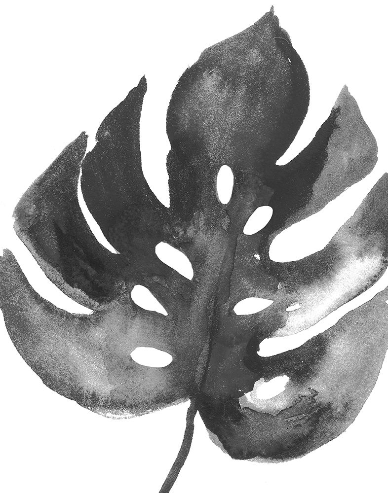 BW Palm II art print by PI Studio for $57.95 CAD