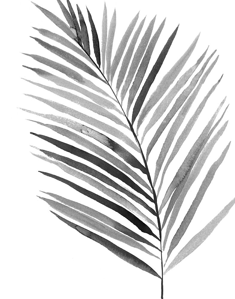BW Palm IV art print by PI Studio for $57.95 CAD