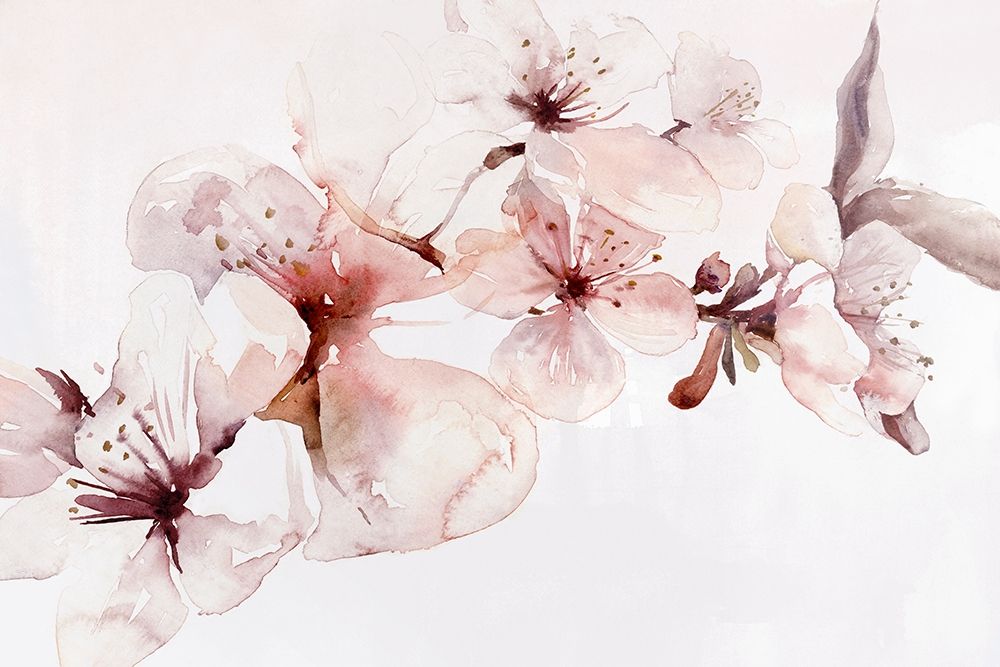 Watercolor Blossoms I art print by PI Studio for $57.95 CAD