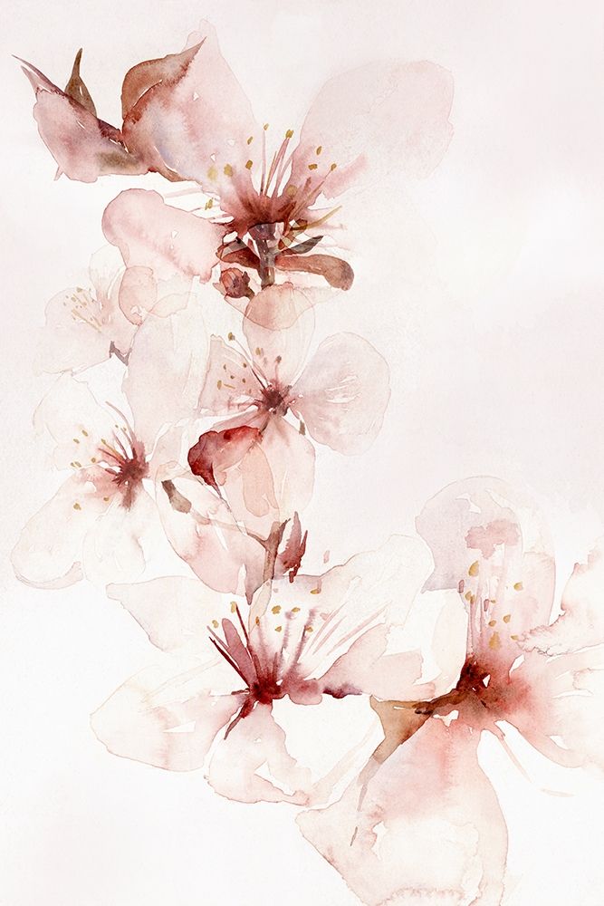 Watercolor Blossoms II art print by PI Studio for $57.95 CAD