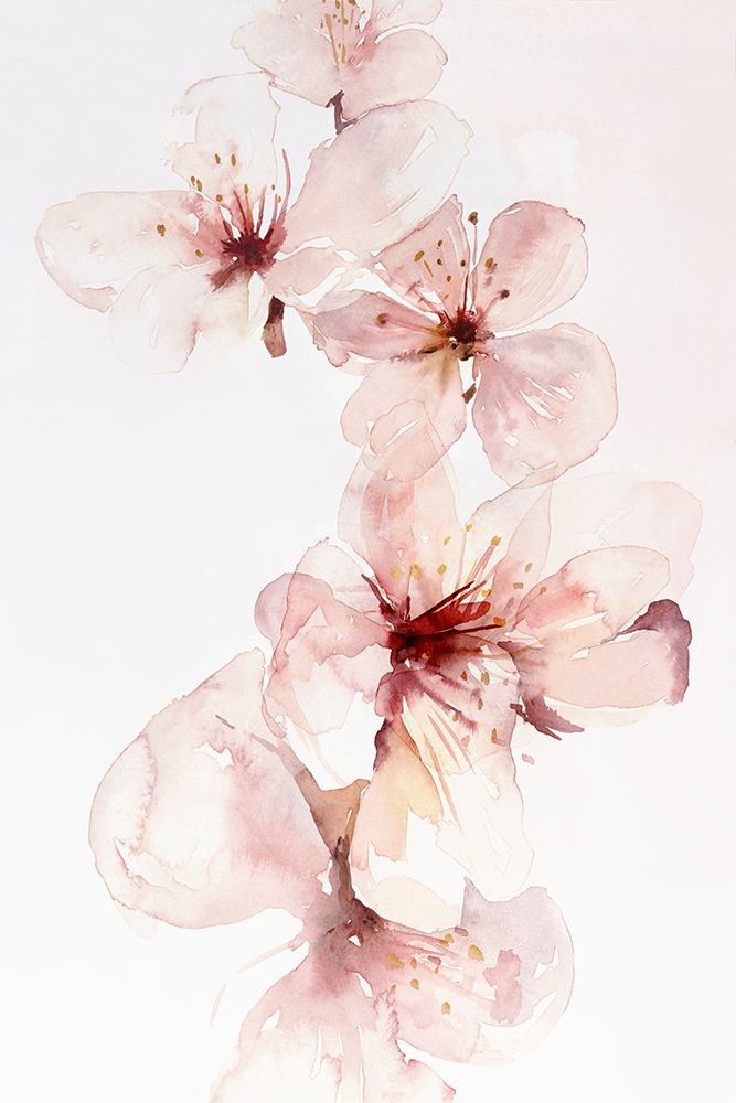 Watercolor Blossoms III art print by PI Studio for $57.95 CAD