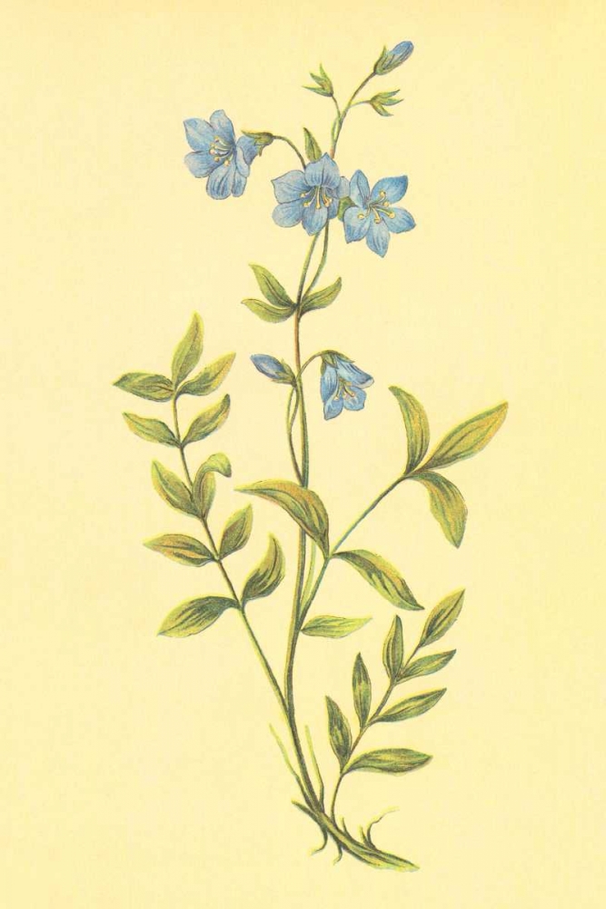 Greek Valerian art print by PI Collection for $57.95 CAD