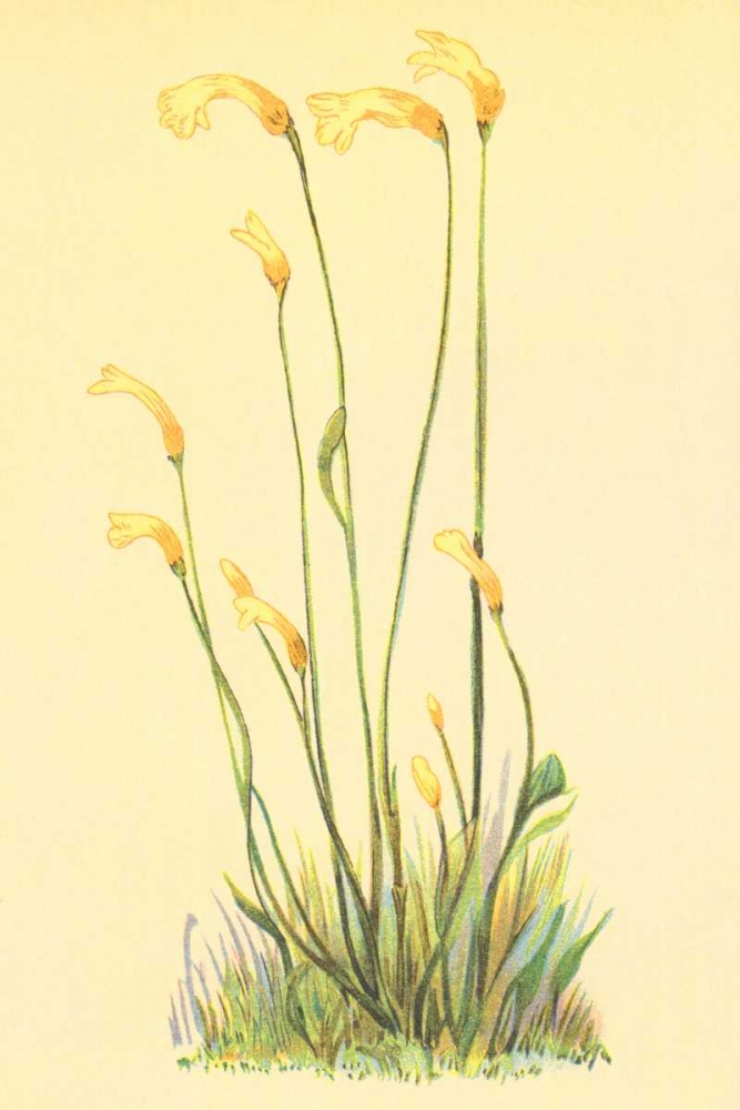 One Flowered Root art print by PI Collection for $57.95 CAD
