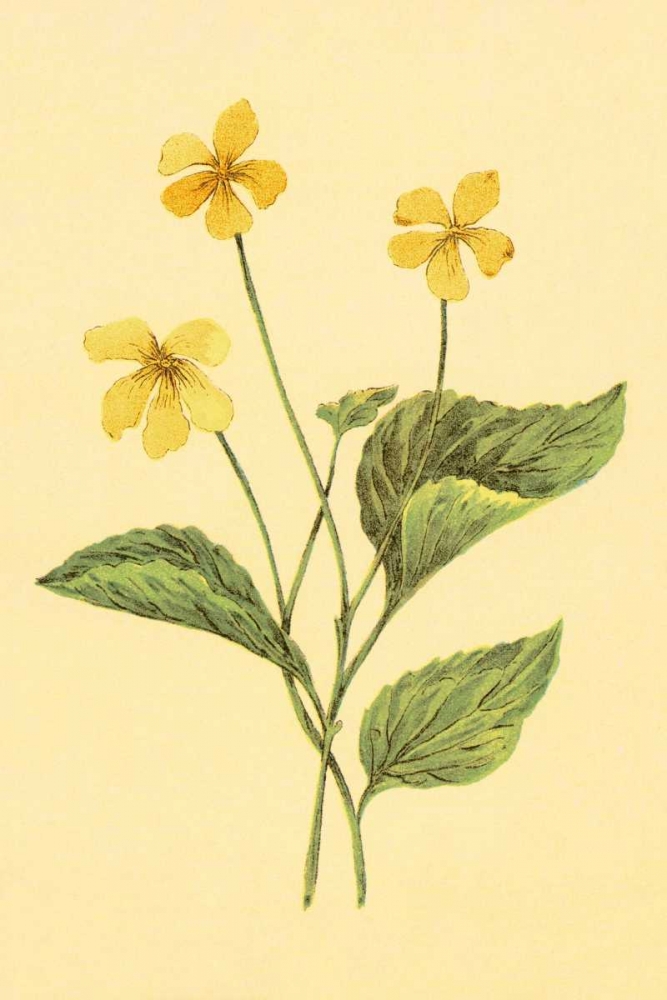 Yellow Violet art print by PI Collection for $57.95 CAD