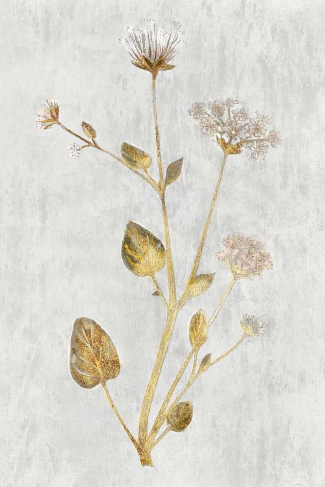 Abronia Turbinata art print by PI Collection for $57.95 CAD