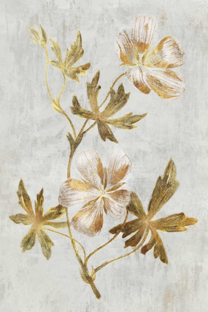 Callirrhoe art print by PI Collection for $57.95 CAD