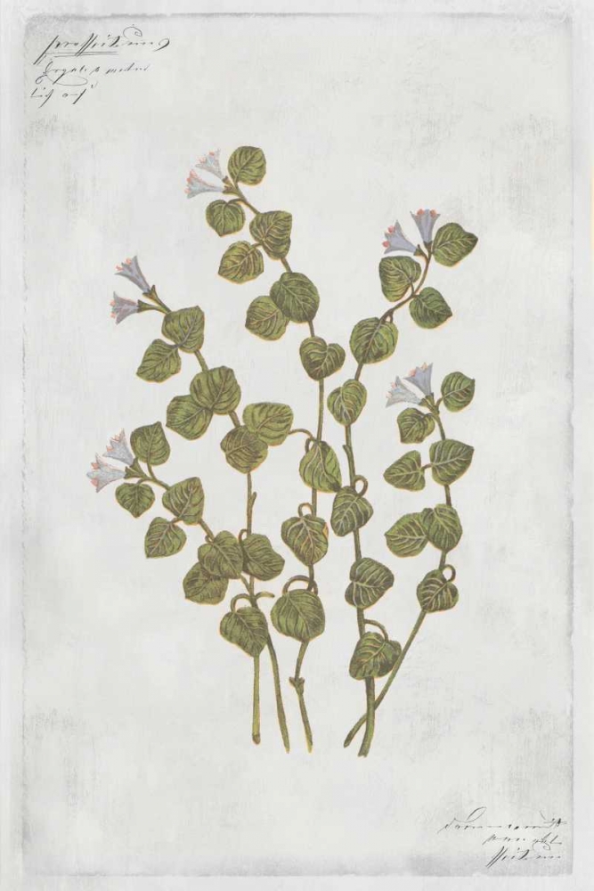 Patridge Berry art print by PI Collection for $57.95 CAD