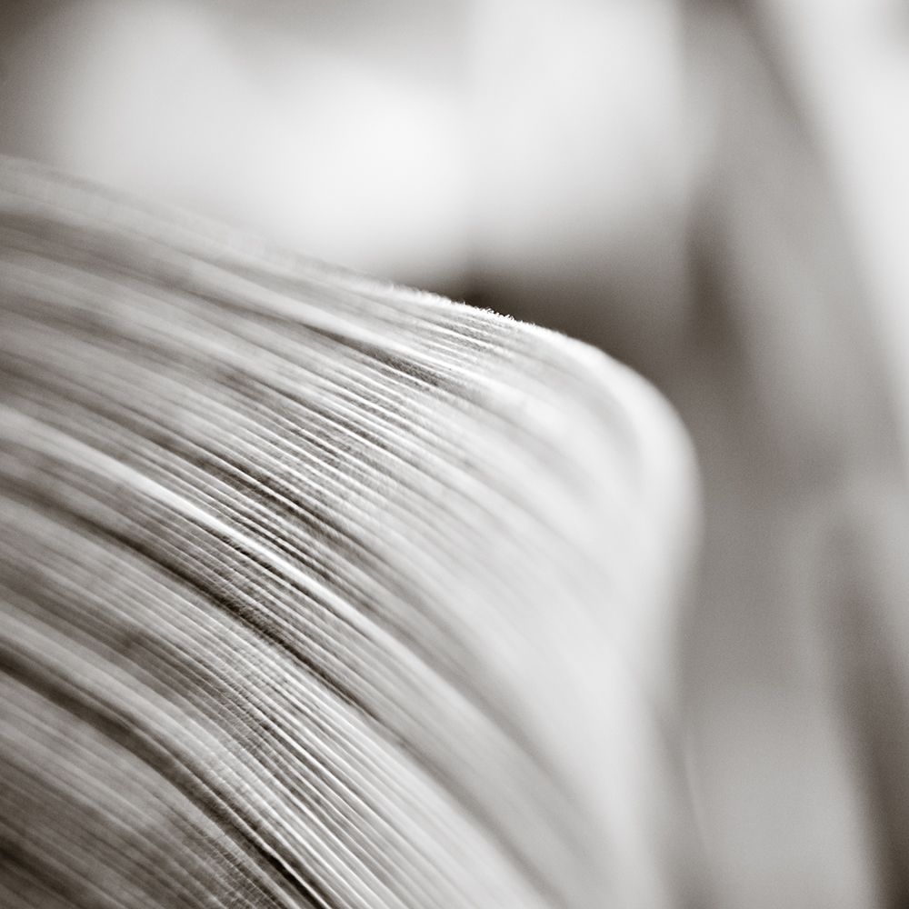 Wave Leaf III art print by Rick Cotter for $57.95 CAD
