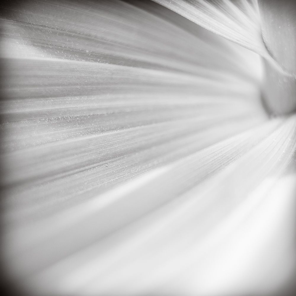 Wave Leaf IV art print by Rick Cotter for $57.95 CAD