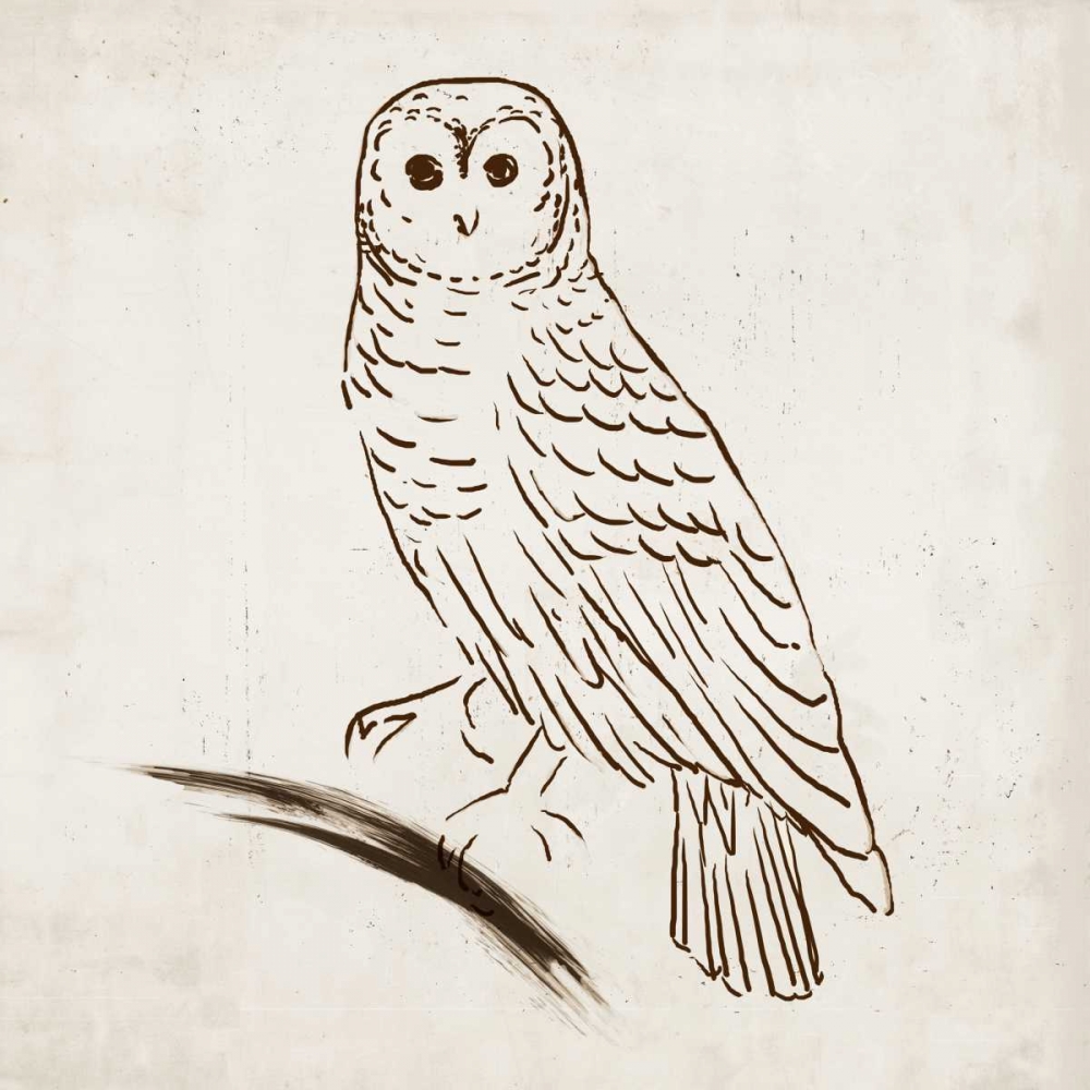 Owl I art print by Tom Reeves for $57.95 CAD