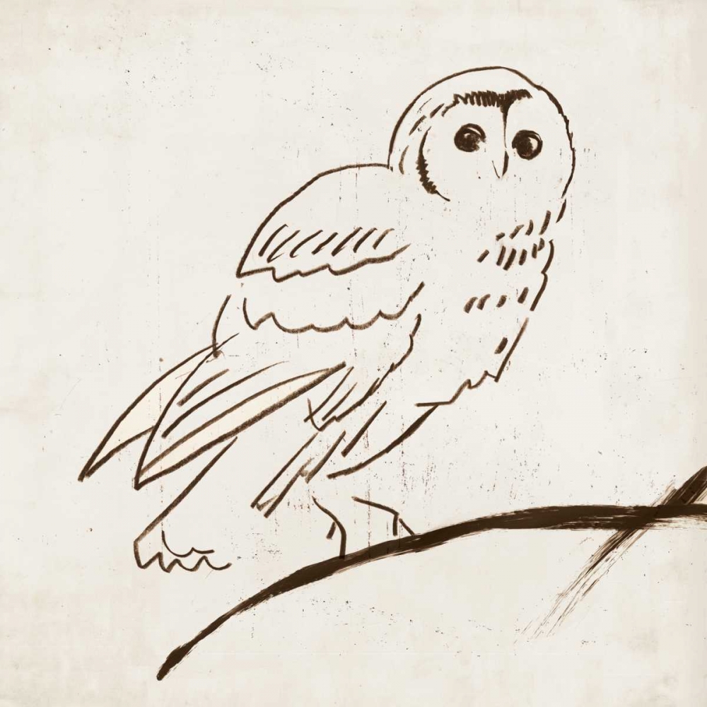Owl II art print by Tom Reeves for $57.95 CAD