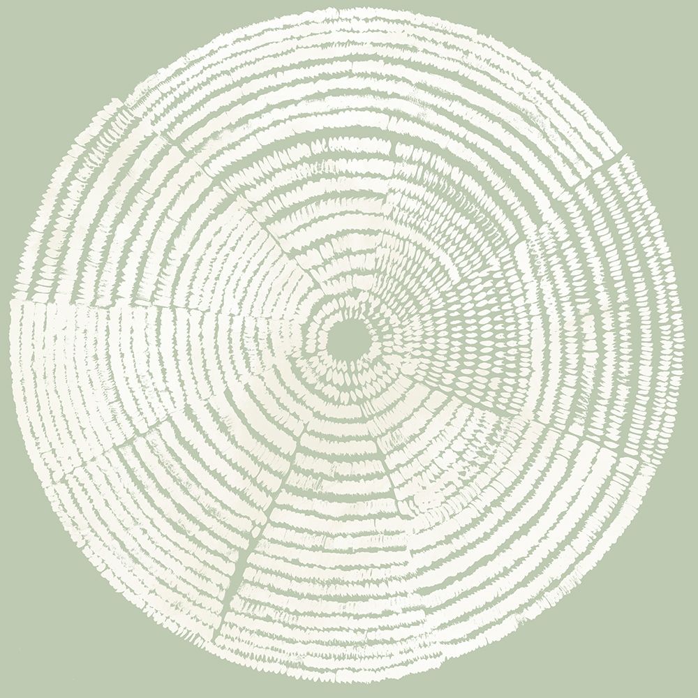 Circles of Life I art print by Tom Reeves for $57.95 CAD