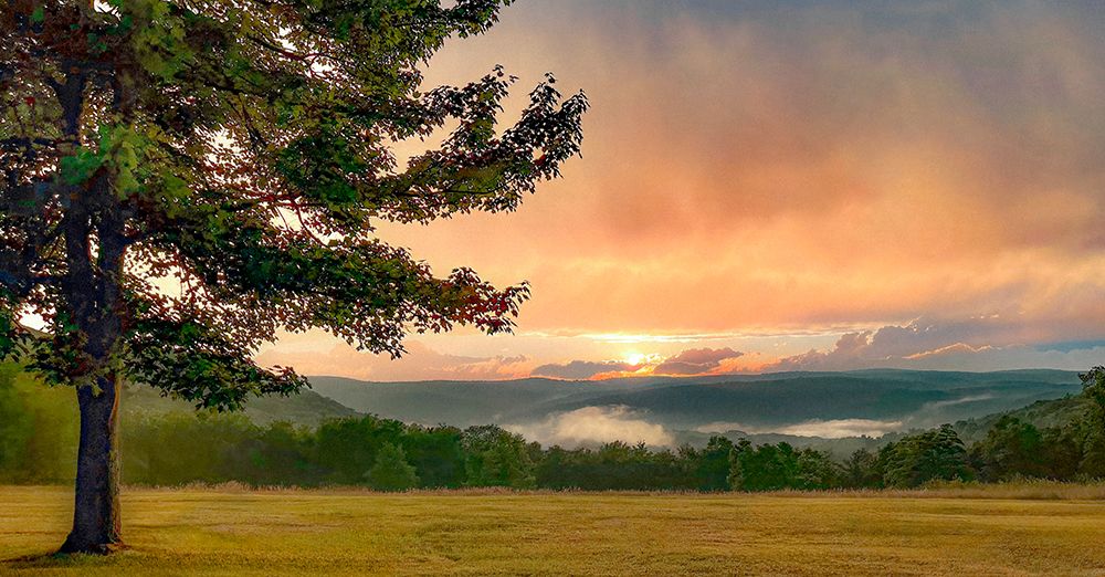 Hill Meadow art print by Richard James for $57.95 CAD