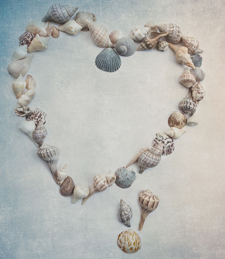 Sea Shell Heart art print by Rebecca Cozart for $57.95 CAD