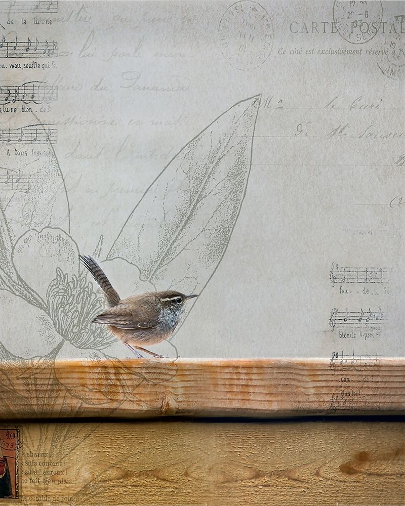 Wren I art print by Rebecca Cozart for $57.95 CAD