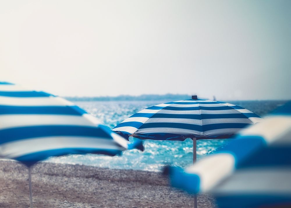 Summer Swim II art print by Robert Schenck for $57.95 CAD