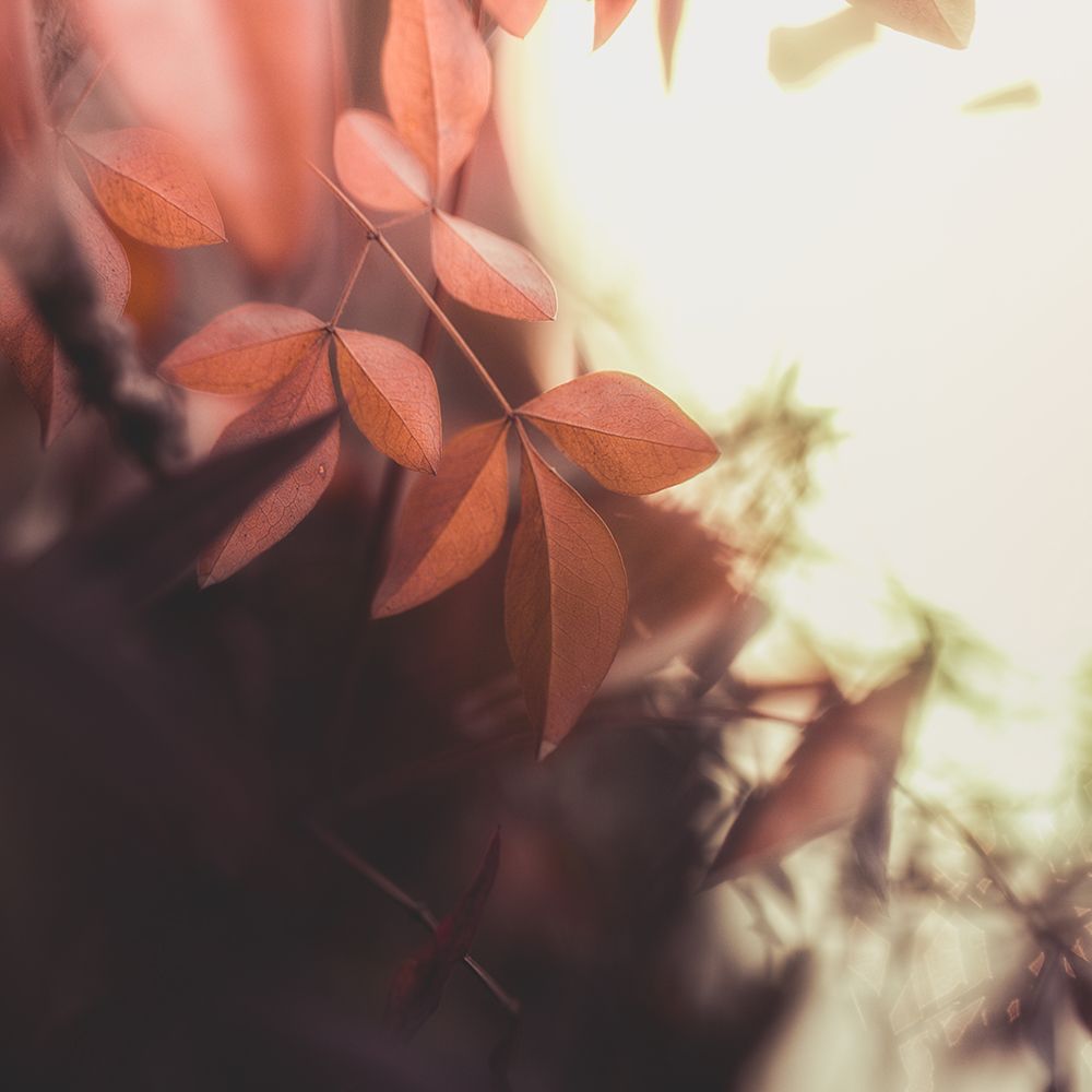 Falling I art print by Robert Schenck for $57.95 CAD