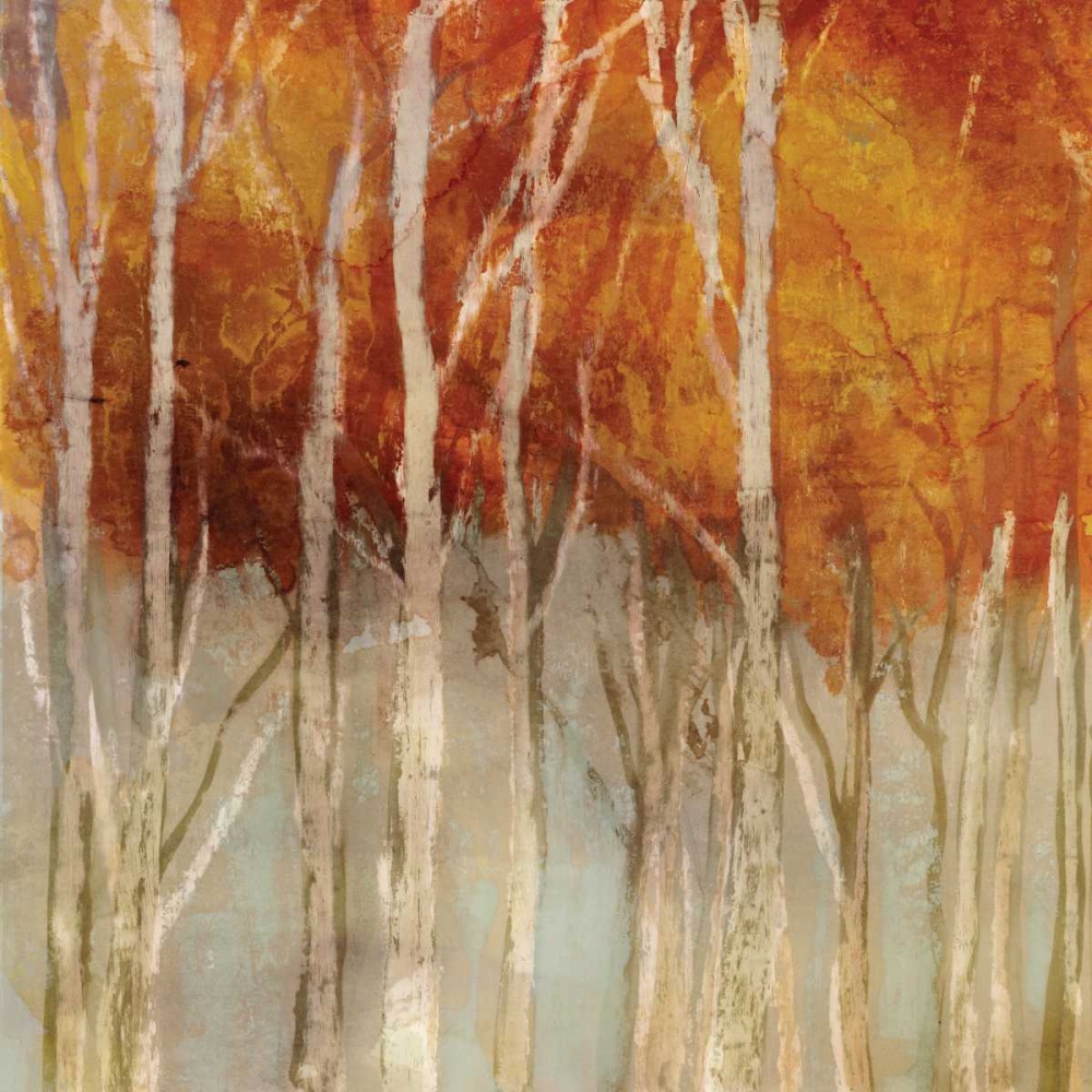 Belgium Forest I art print by Edward Selkirk for $57.95 CAD