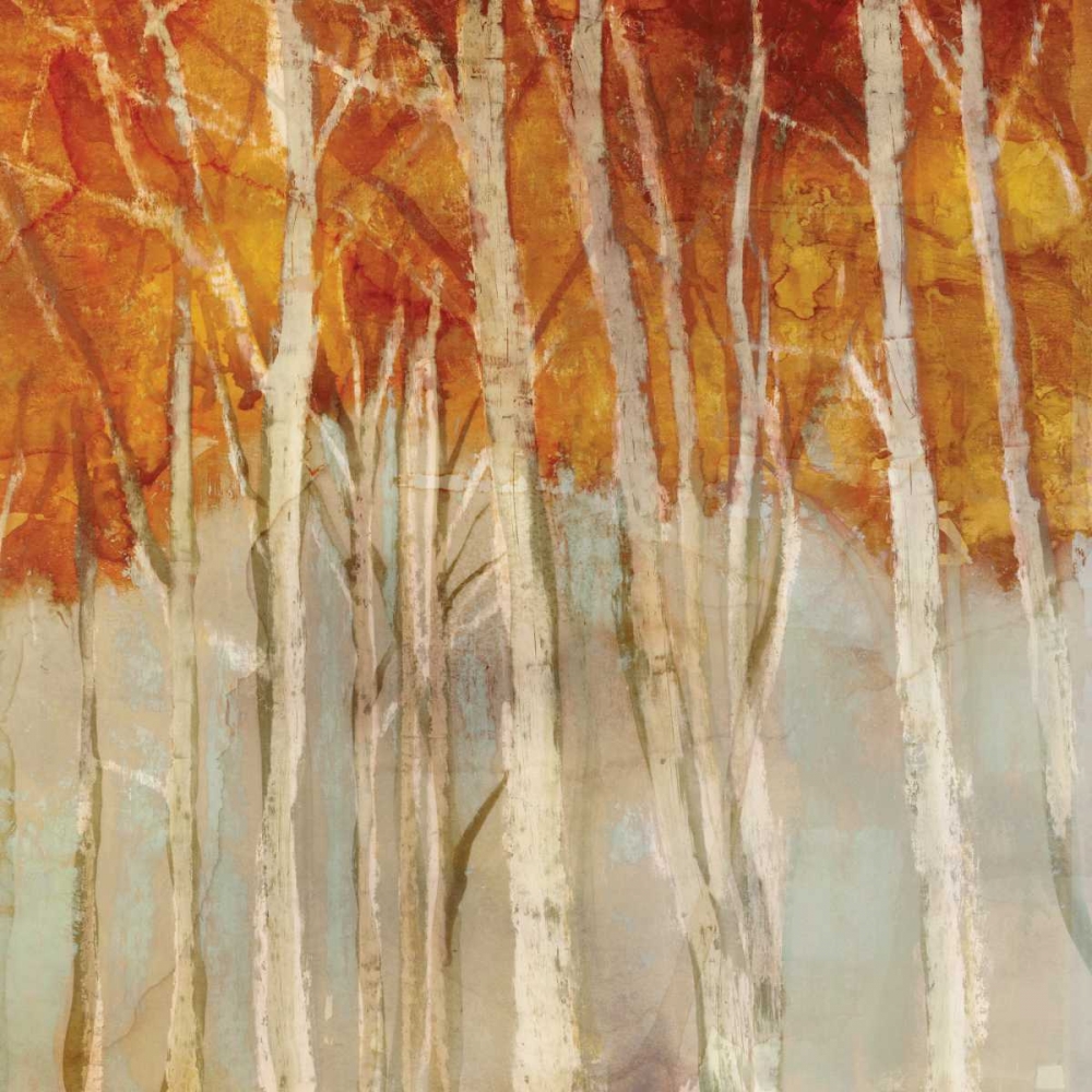 Belgium Forest II art print by Edward Selkirk for $57.95 CAD