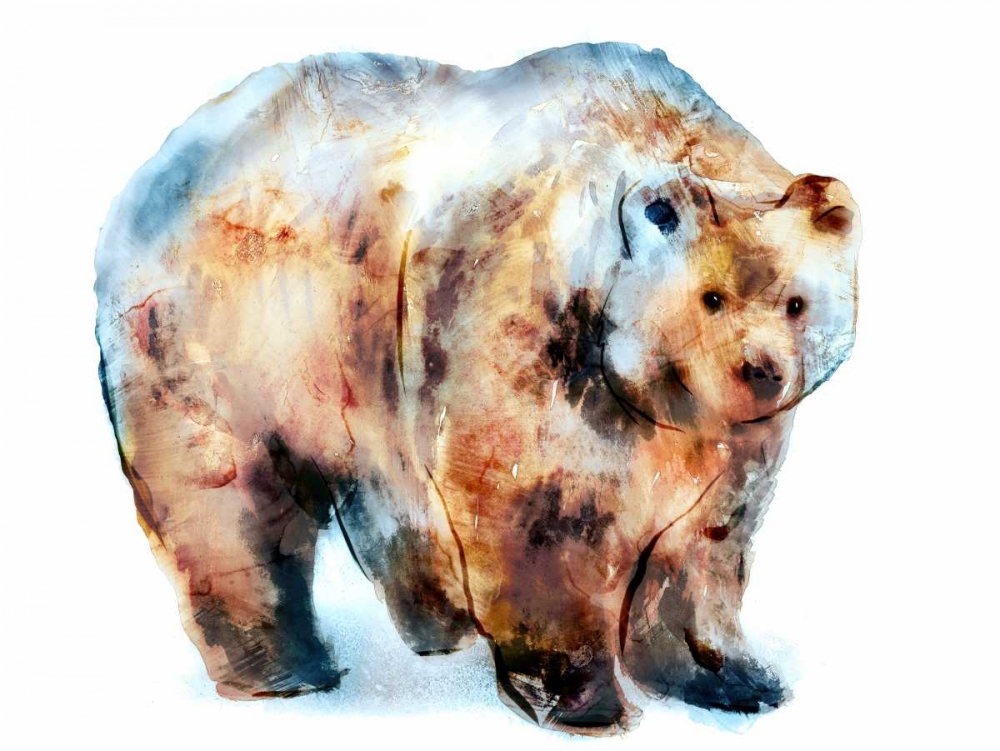 Bear art print by Edward Selkirk for $57.95 CAD
