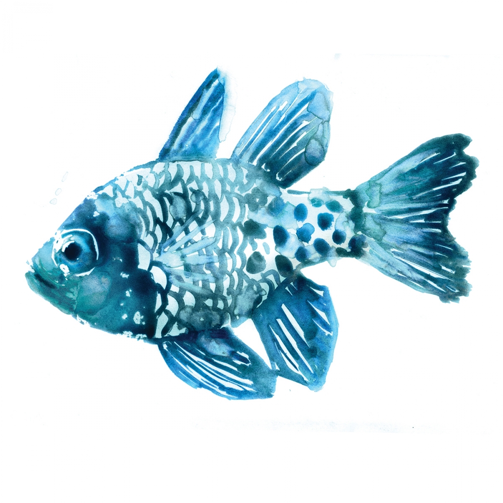 Fish II art print by Edward Selkirk for $57.95 CAD