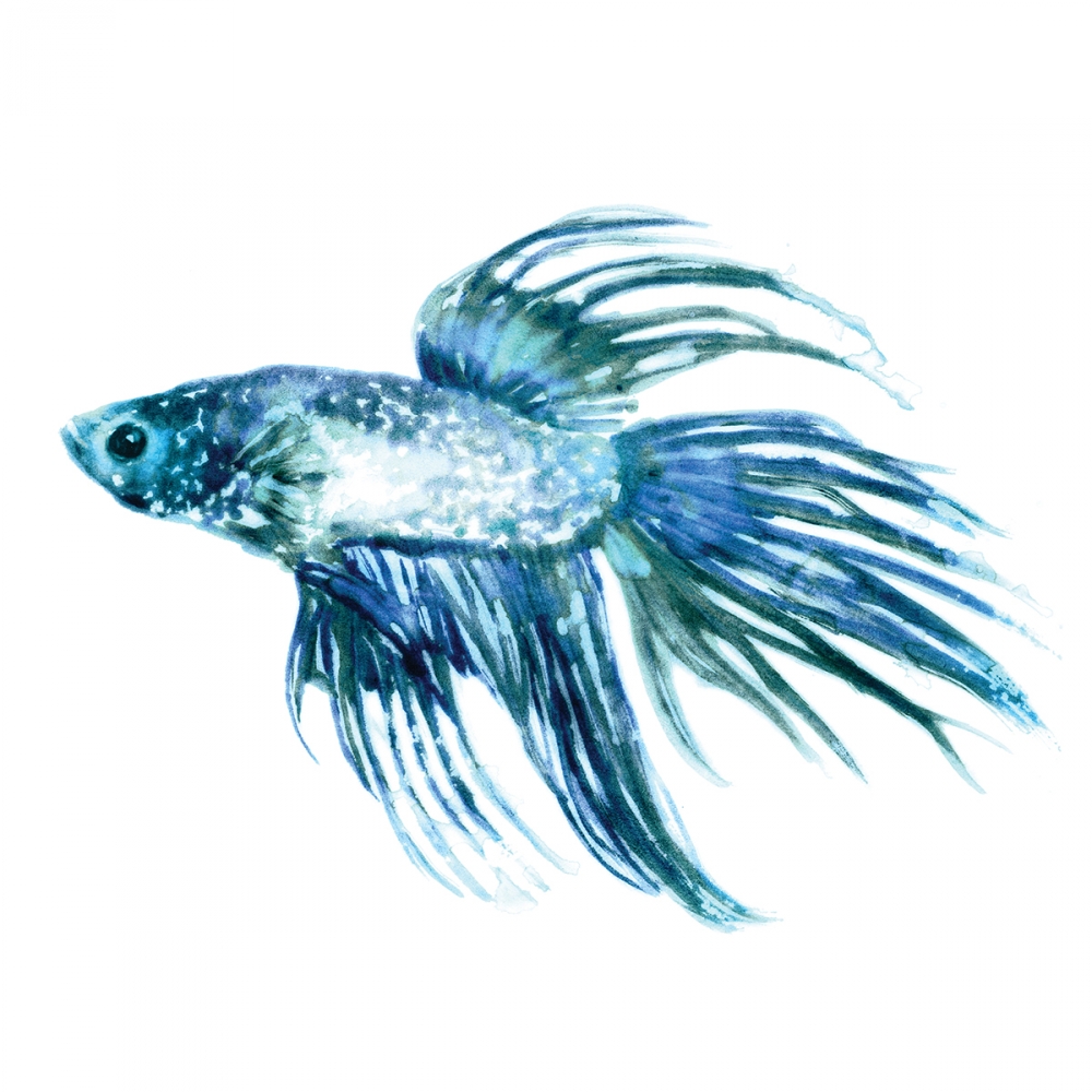 Fish III art print by Edward Selkirk for $57.95 CAD