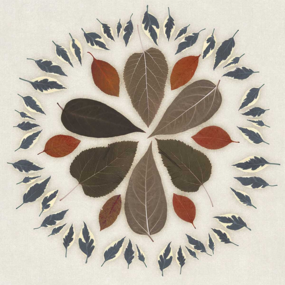 Wreath II art print by Edward Selkirk for $57.95 CAD