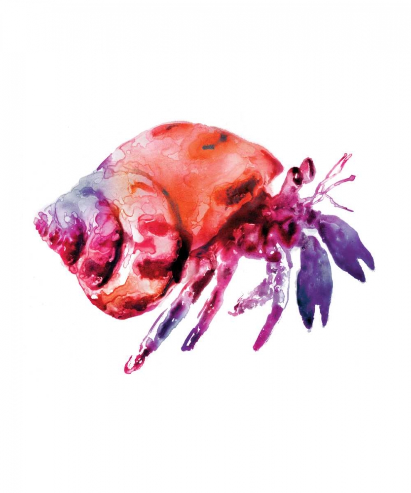 Multicolored Hermit art print by Edward Selkirk for $57.95 CAD