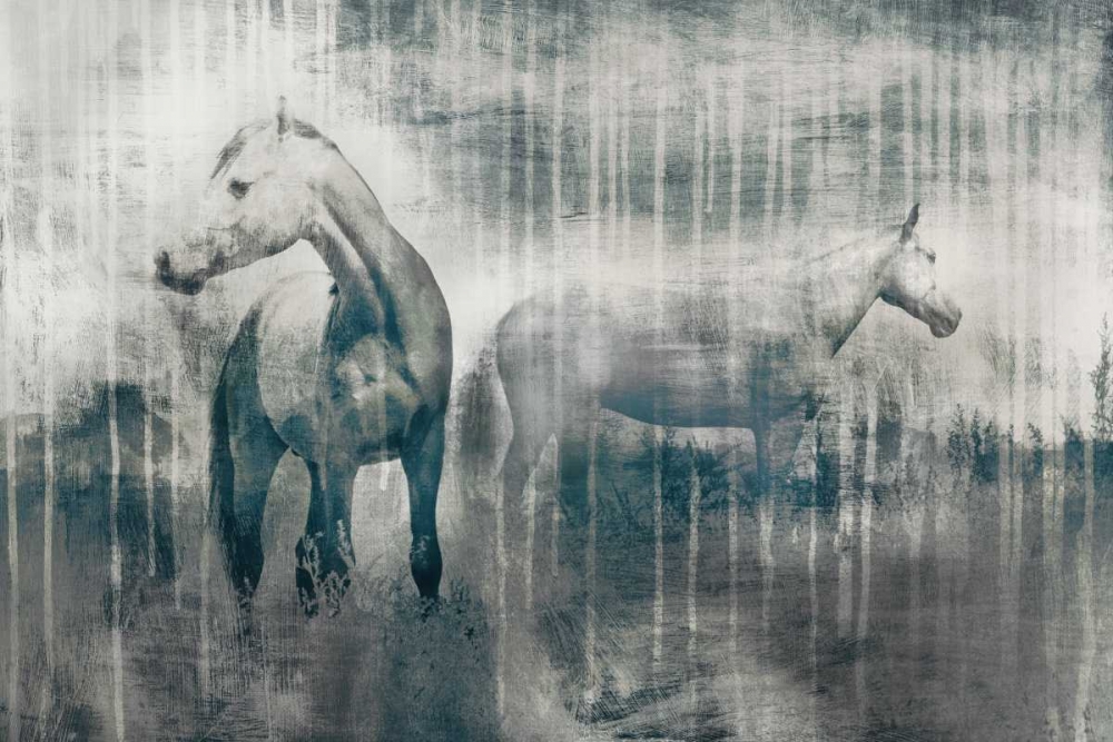 Grey Serenade art print by Edward Selkirk for $57.95 CAD
