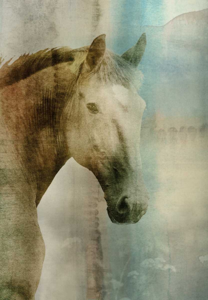 Lotta art print by Edward Selkirk for $57.95 CAD