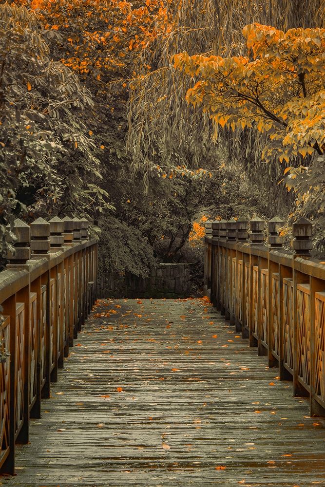 Across the Bridge art print by Don Schwartz for $57.95 CAD