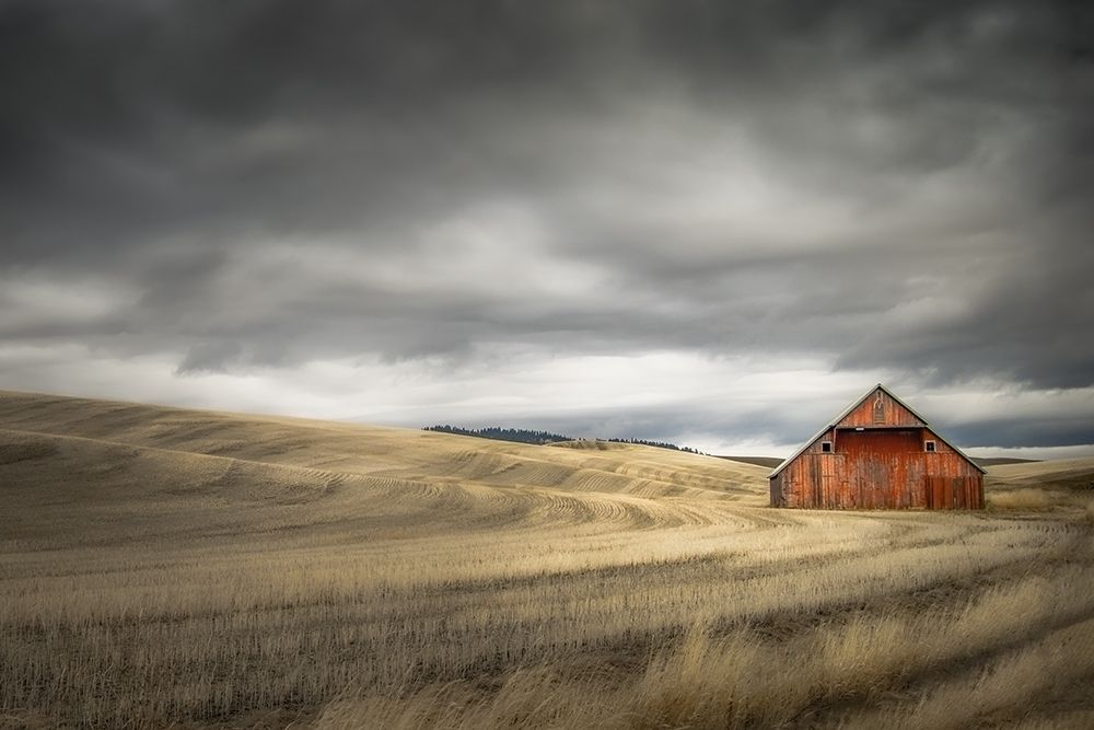 Old Barn in the Winter Field art print by Don Schwartz for $57.95 CAD