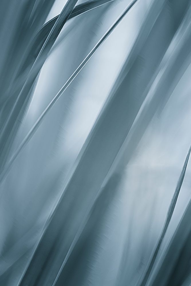 Blades of Grass art print by Don Schwartz for $57.95 CAD