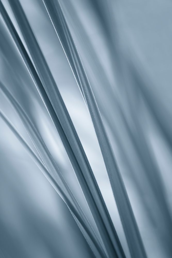 Slanting art print by Don Schwartz for $57.95 CAD