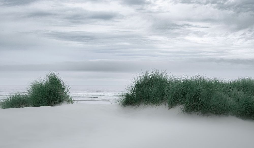 View Through the Dune Grasses art print by Don Schwartz for $57.95 CAD