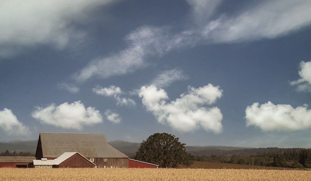 Century Farm art print by Don Schwartz for $57.95 CAD