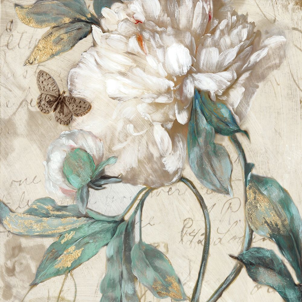 Morning Peony II art print by Matina Theodosiou for $57.95 CAD