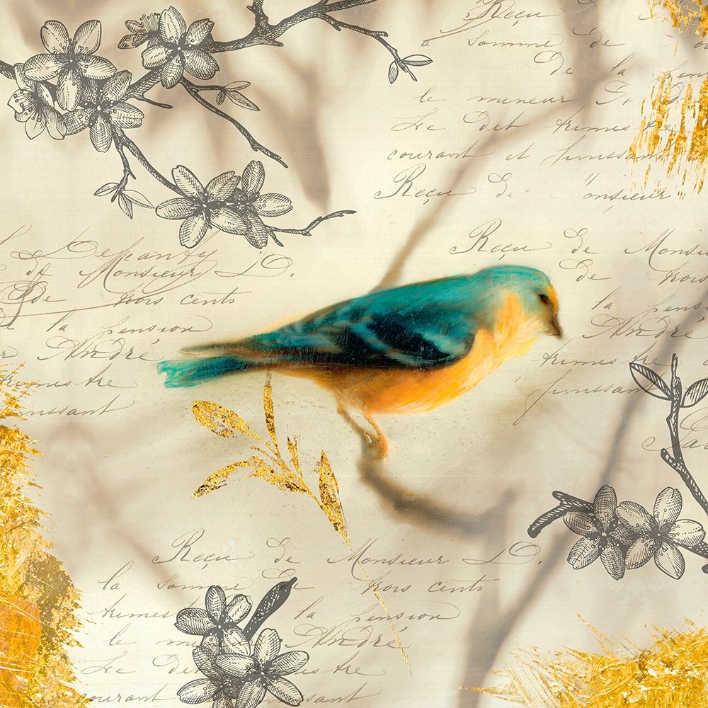 Backyard Birds I art print by Matina Theodosiou for $57.95 CAD