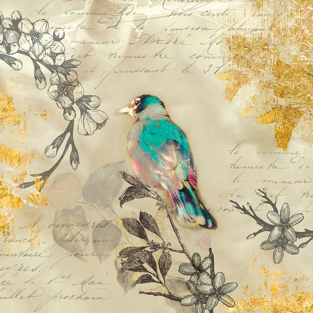 Backyard Birds III art print by Matina Theodosiou for $57.95 CAD