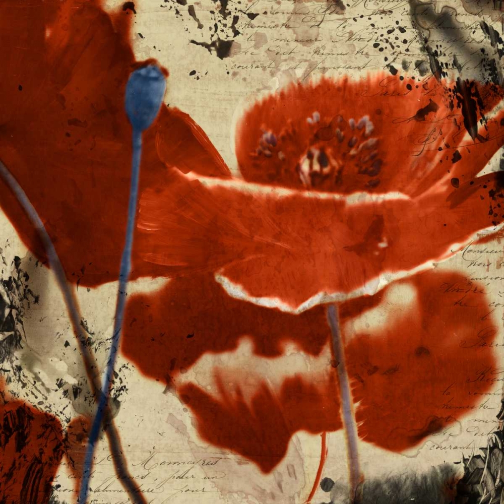 Poppy Love I art print by Matina Theodosiou for $57.95 CAD