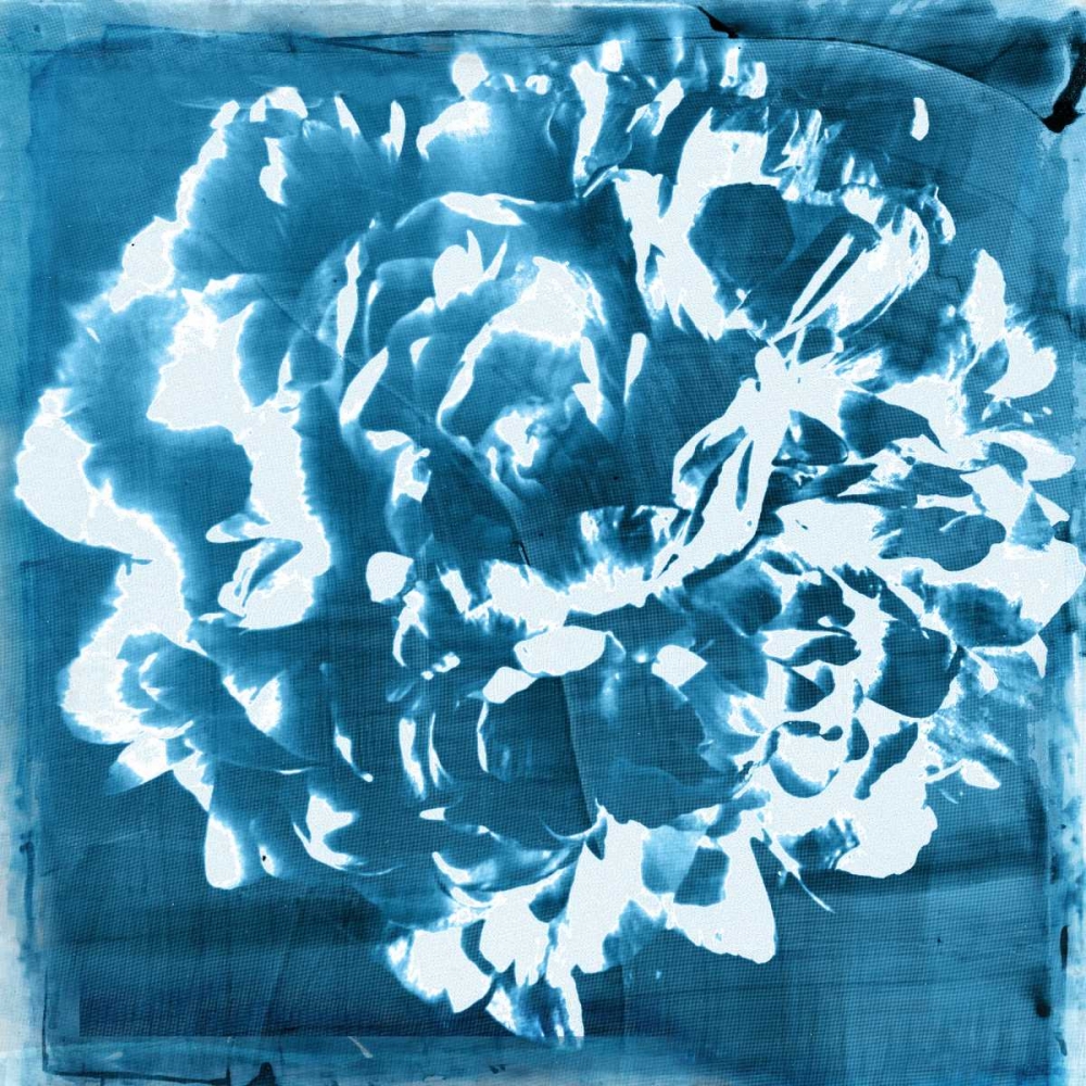 Indigo Floret I art print by Matina Theodosiou for $57.95 CAD