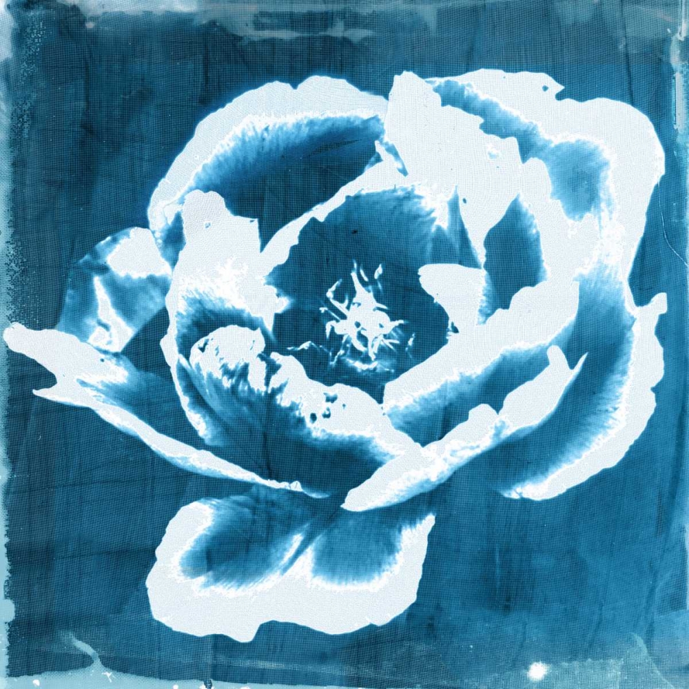 Indigo Floret II art print by Matina Theodosiou for $57.95 CAD